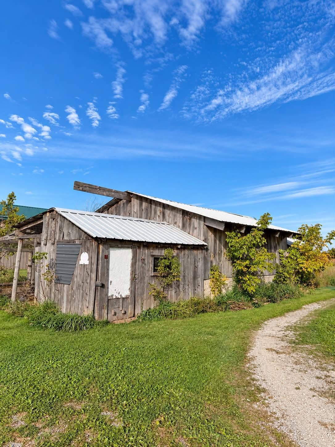 8184 Schultz Road Hubbard Lake, MI 49747 - Photo 29 of 39 Gallery Image 29