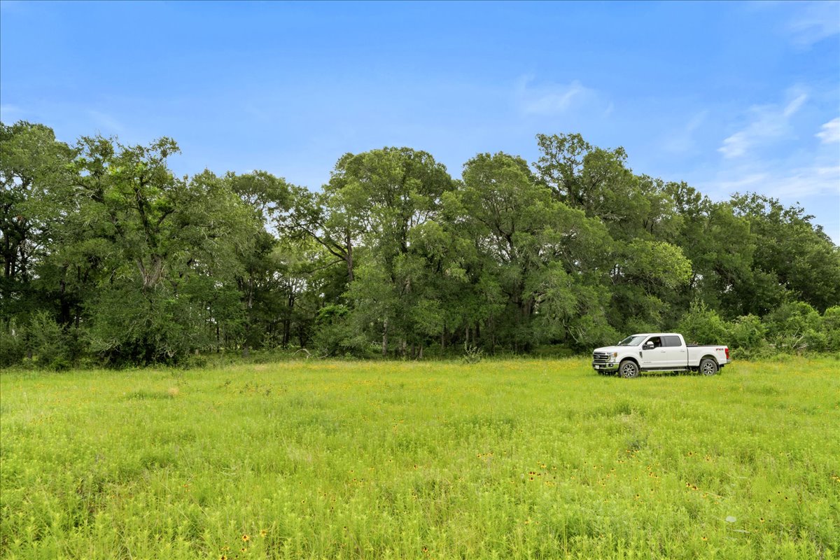 8413 Mach Road La Grange, TX 78945 - Photo 15 of 40