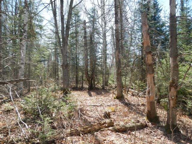 W1288 Straveler Road Brantwood, WI 54513 - Photo 12 of 20 Gallery Image 12
