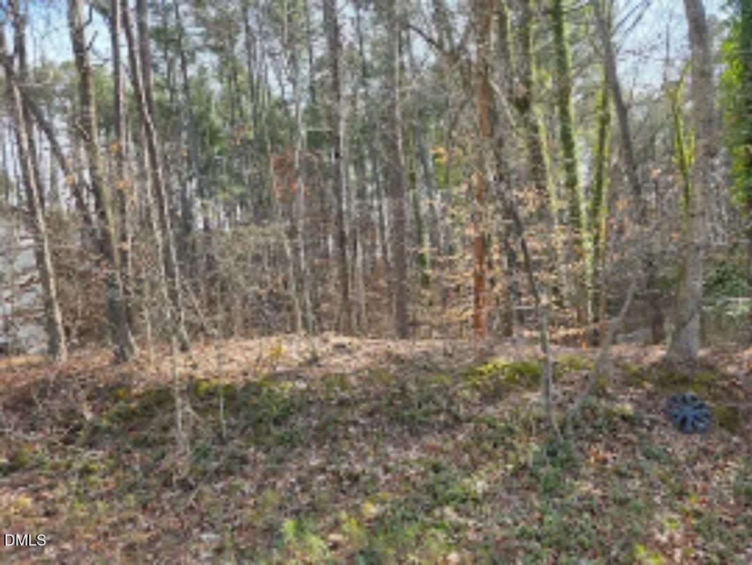 906 Ardmore Drive Durham, NC 27713 - Photo 2 of 3 a view of empty room with trees