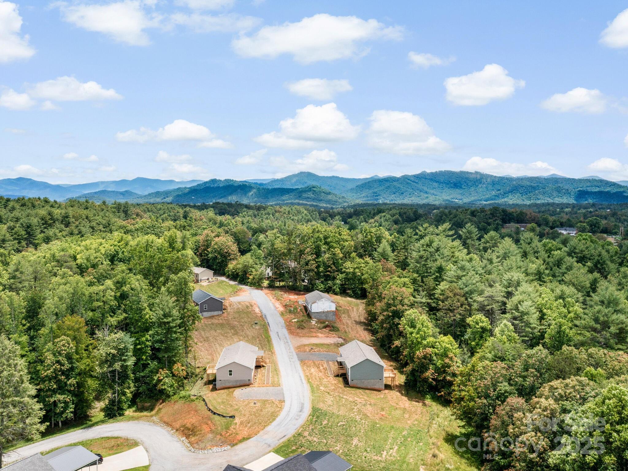 207 Walnut Br Road Weaverville, NC 28787 - Photo 28 of 33 Gallery Image 28