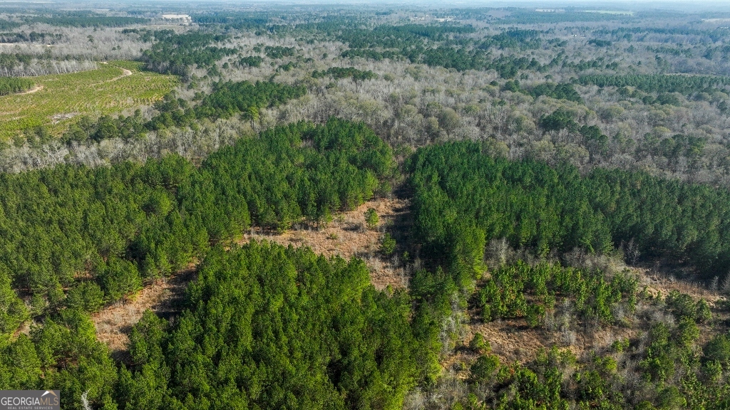 0 Crooked Road, Unit TRACT 1 Millen, GA 30442 - Photo 30 of 33