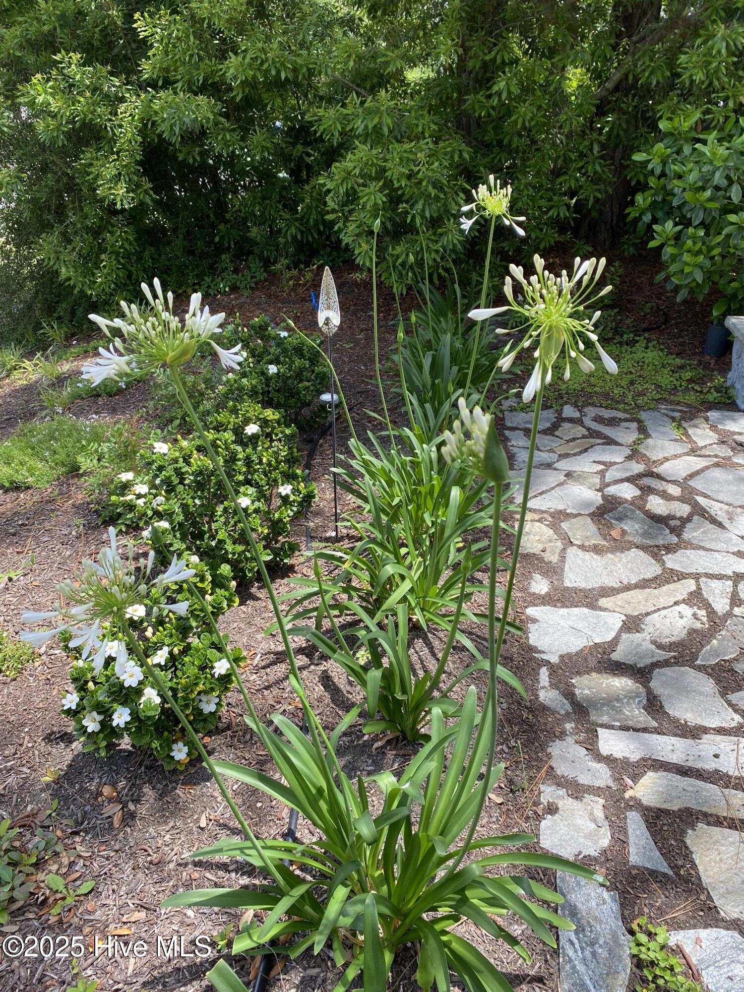 872 Batten Road Southport, NC 28461 - Photo 14 of 110 Moonlight garden