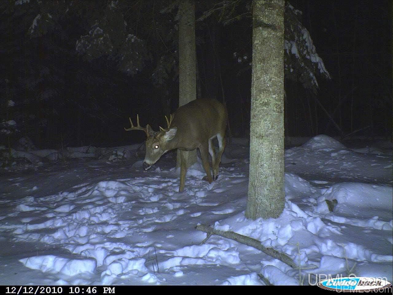 W8654 Co Road Stephenson, MI 49887 - Photo 3 of 14 Gallery Image 3