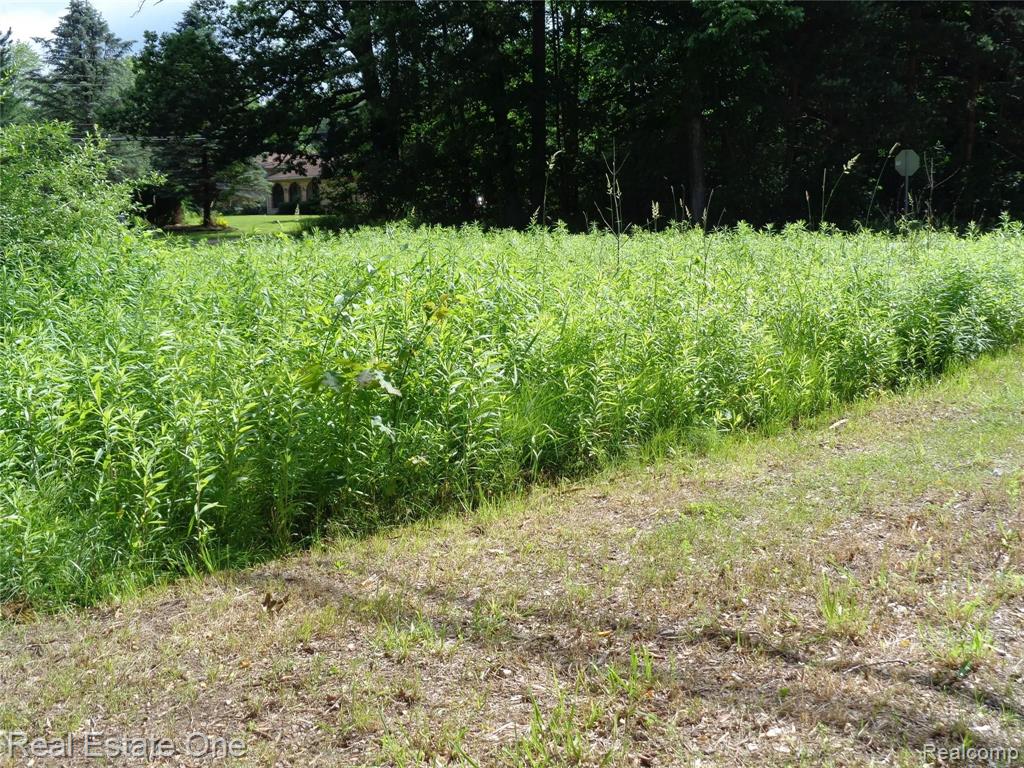 0 South Baldwin Road Clarkston, MI 48348 - Photo 18 of 30