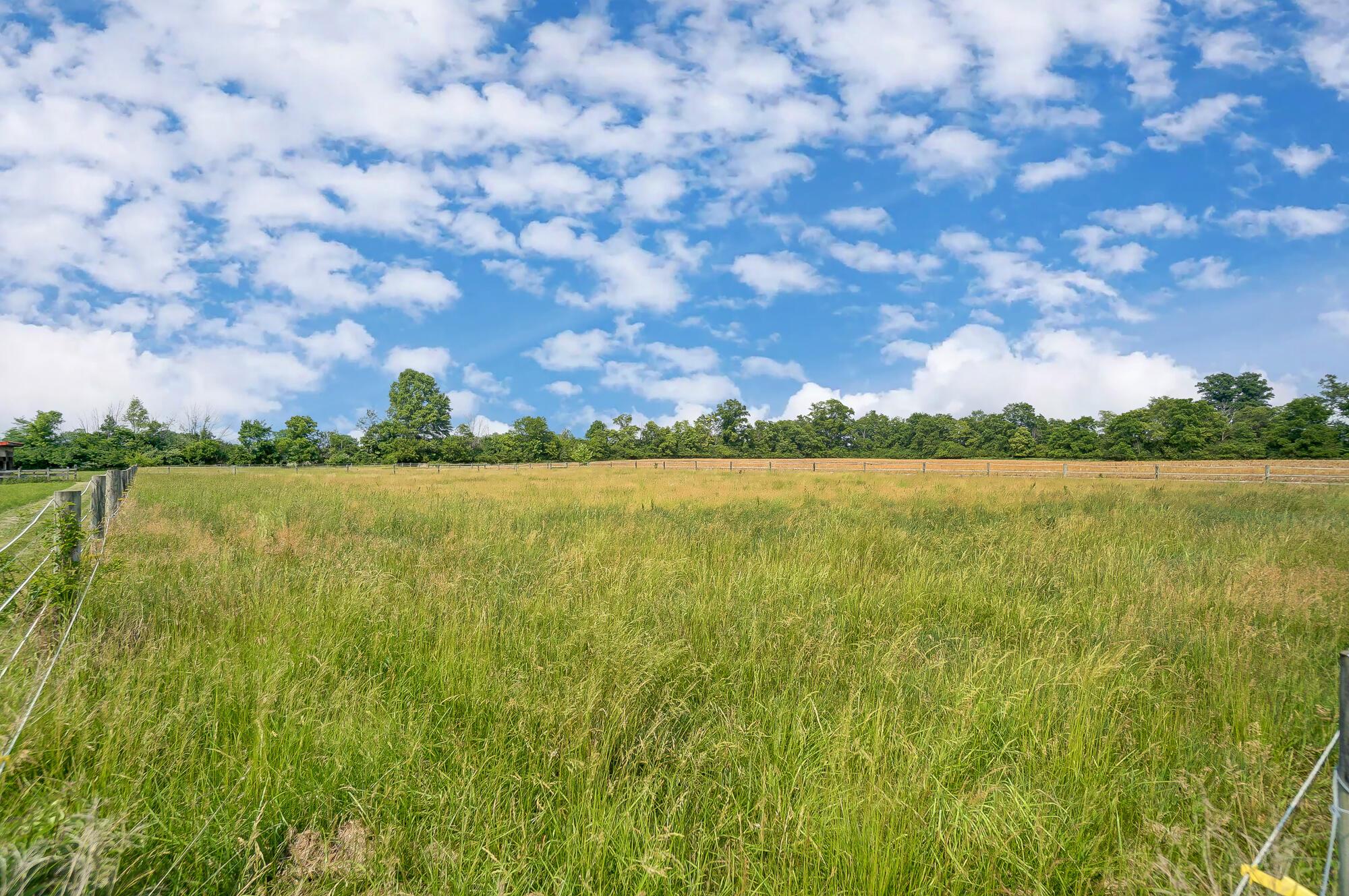1880 Walker Road Hilliard, OH 43026 - Photo 42 of 46 Fenced Pasture