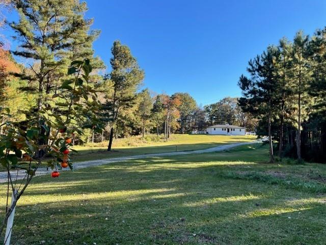 1585 Jimmy Dodd Road Buford, GA 30518 - Photo 16 of 30 a view of a park