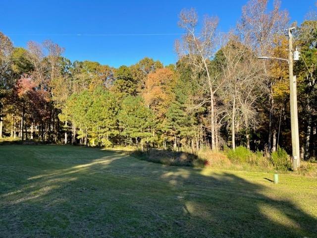 1585 Jimmy Dodd Road Buford, GA 30518 - Photo 27 of 30 a view of a yard