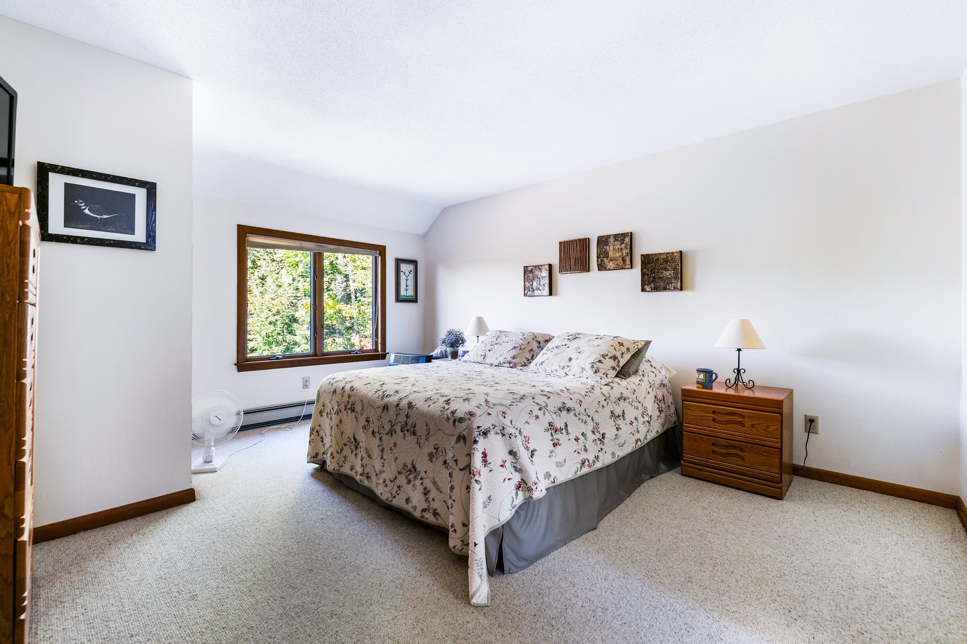 26 Barn Owl Overlook, Unit 26 Grantham, NH 03753 - Photo 27 of 35