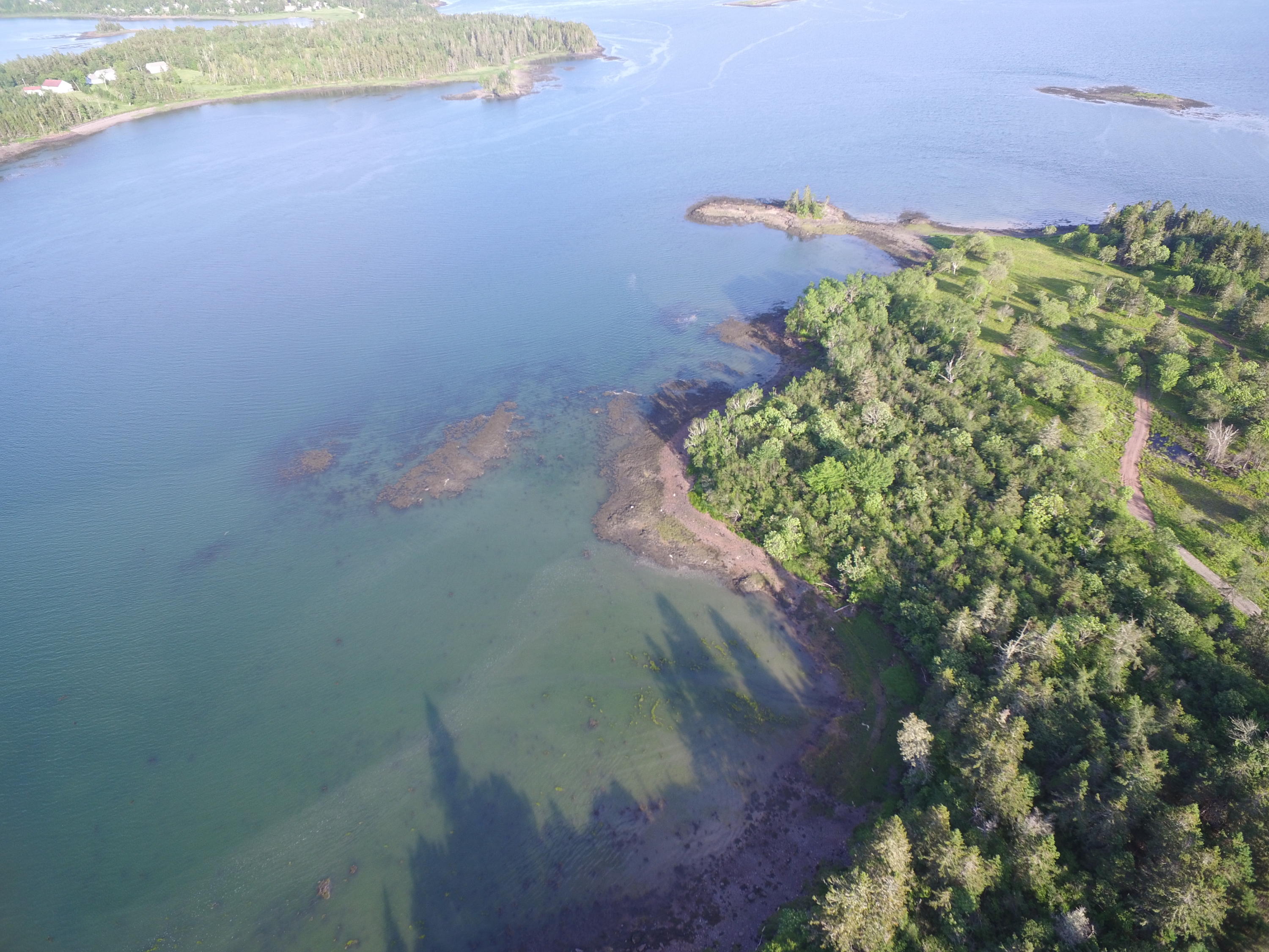 Tbd Tbd Road Perry, ME 04667 - Photo 8 of 29 DJI_0068