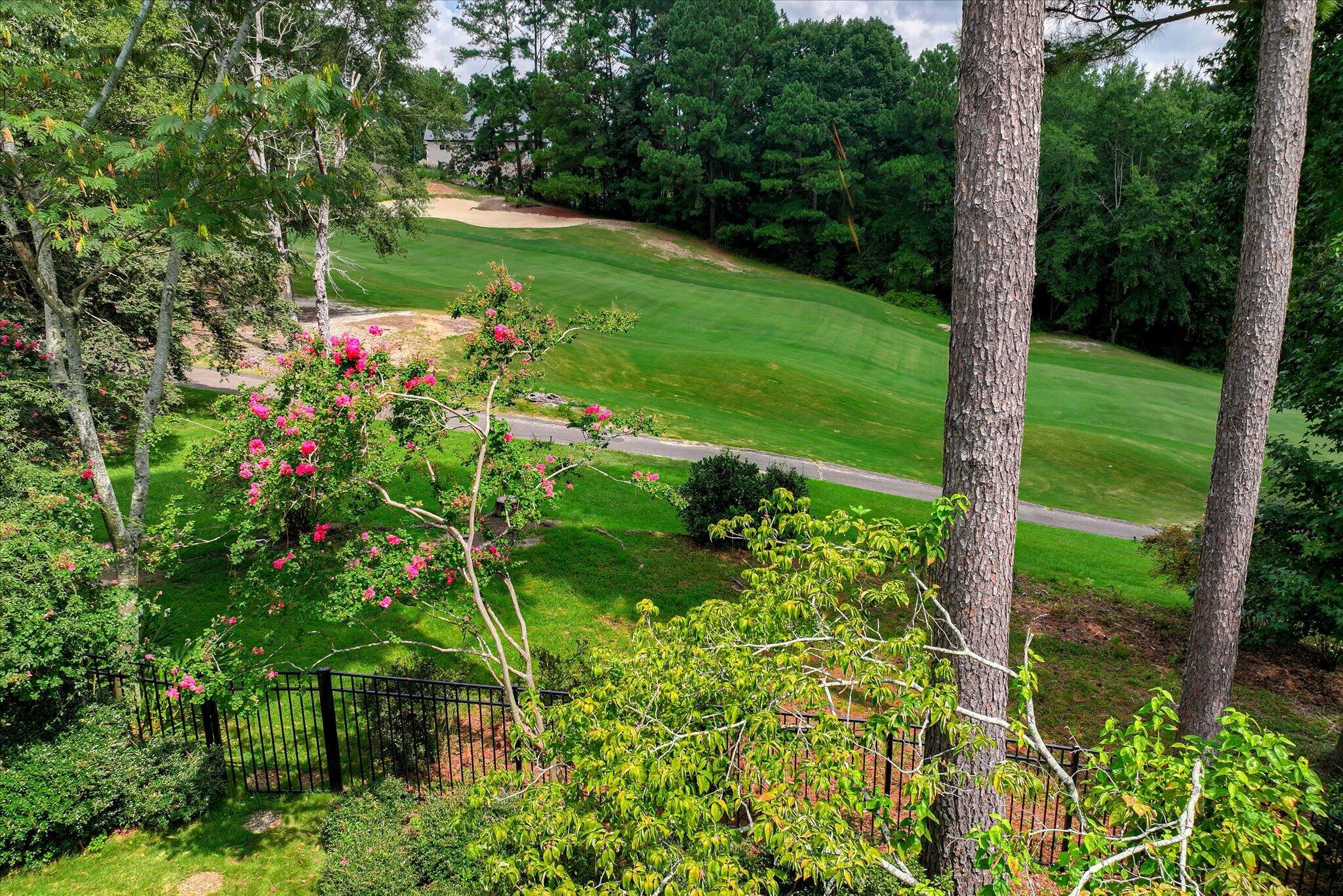 313 Live Oak Road Aiken, SC 29803 - Photo 76 of 85 Gallery Image 76