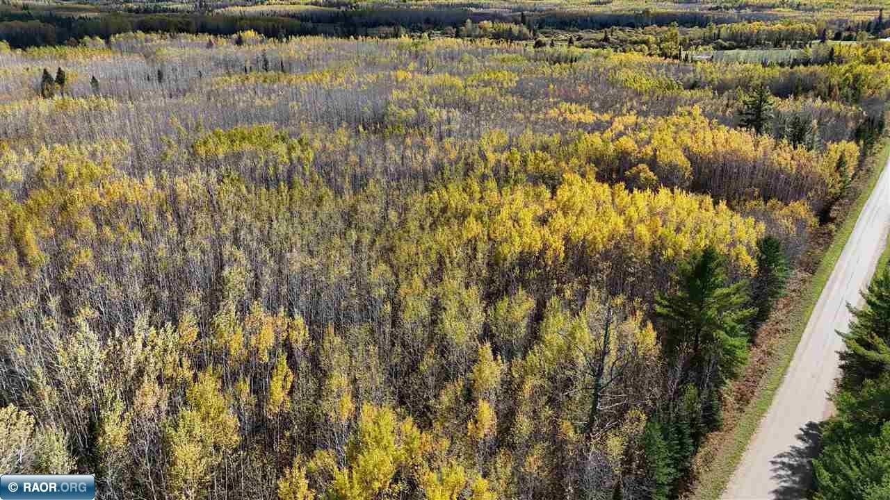 28.9 Rangeline Road Orr, MN 55771 - Photo 8 of 24 Gallery Image 8