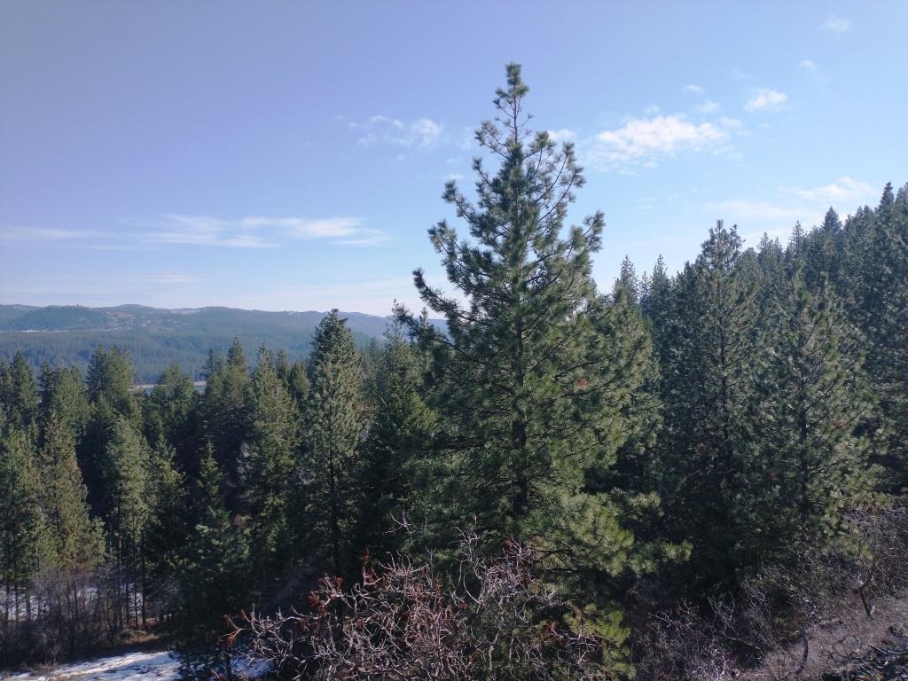East Cameron Road North, Unit S14 T32 R37 Gifford, WA 99131 - Photo 2 of 4