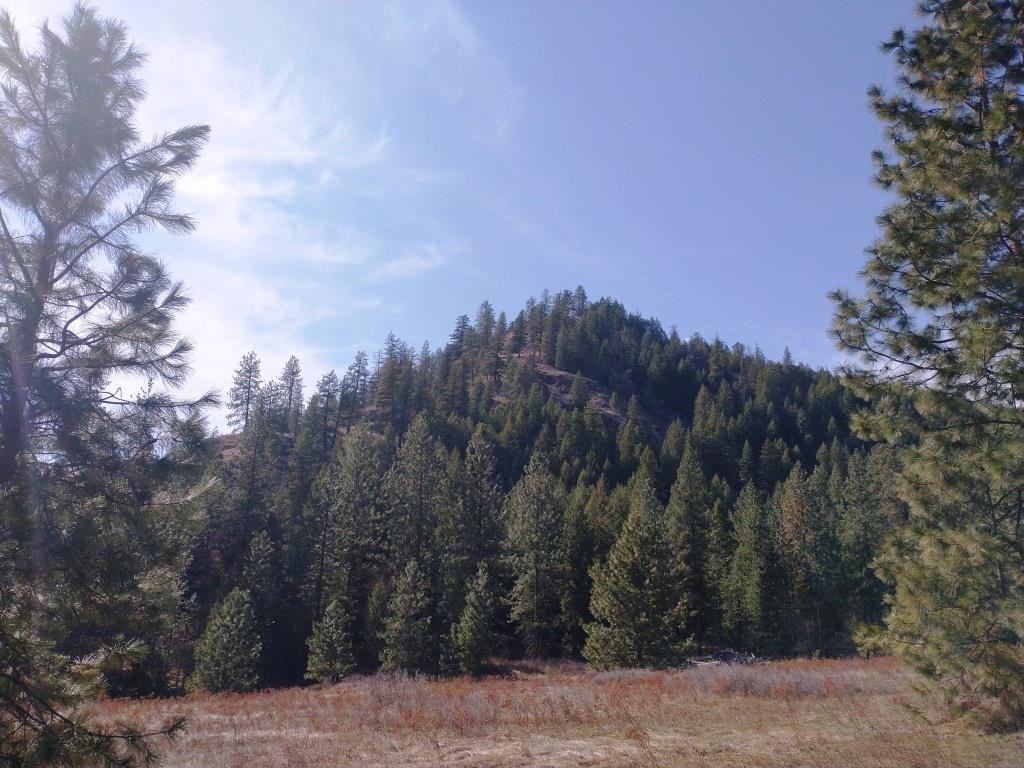 East Cameron Road North, Unit S14 T32 R37 Gifford, WA 99131 - Photo 3 of 4