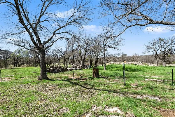 a view of a house with backyard and a tree