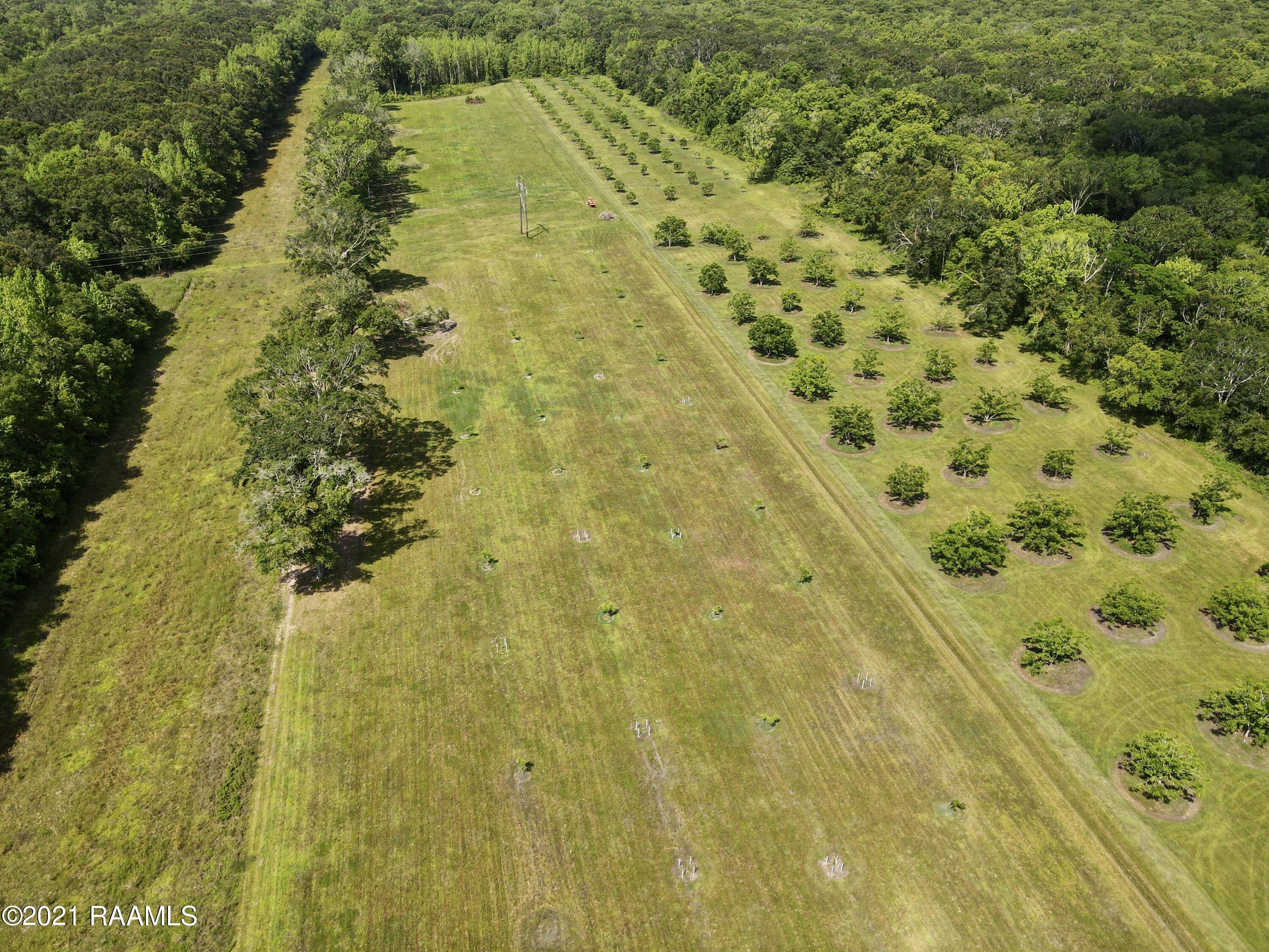 0 Gloria Kern Road Breaux Bridge, LA 70517 - Photo 11 of 25