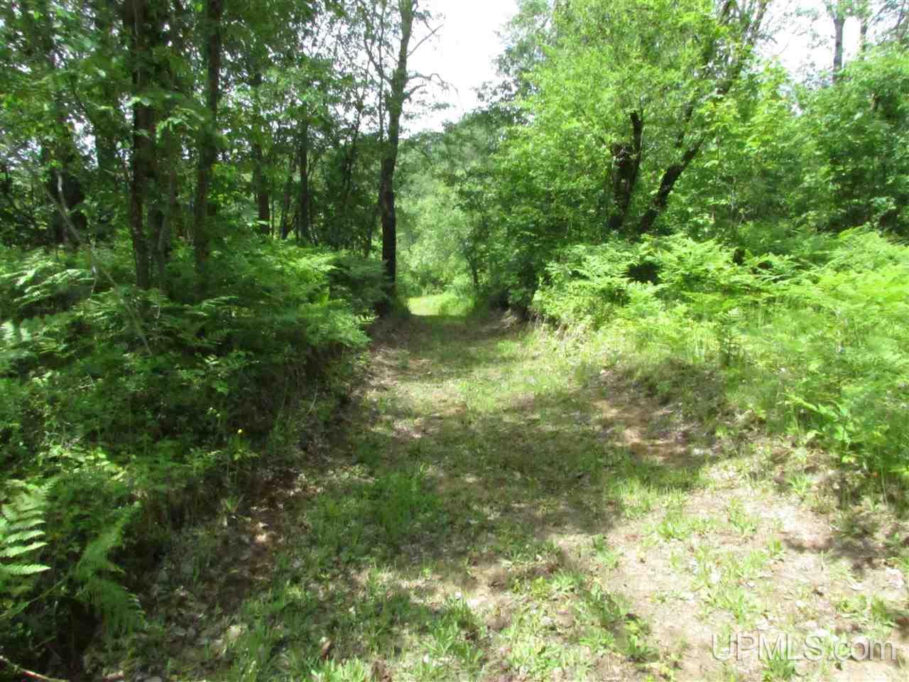 N12426 Driggs River Road Seney, MI 49883 - Photo 65 of 74 Gallery Image 65