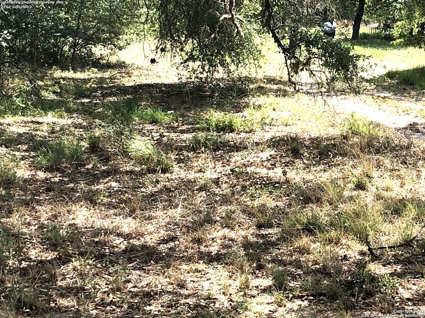 a view of a yard with a tree