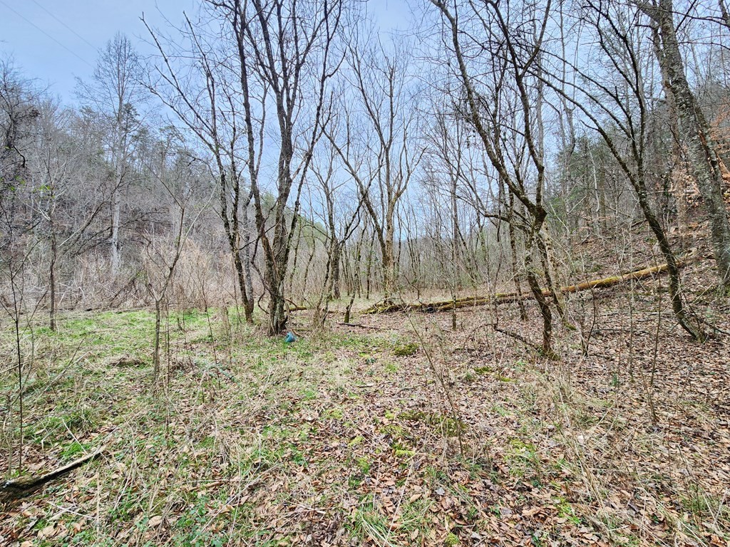 0 Middle Creek Road Cosby, TN 37722 - Photo 2 of 30