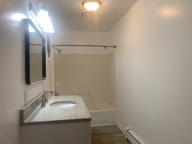 1818 Carr Street Streator, IL 61364 - Photo 23 of 45 a bathroom with a sink and mirror