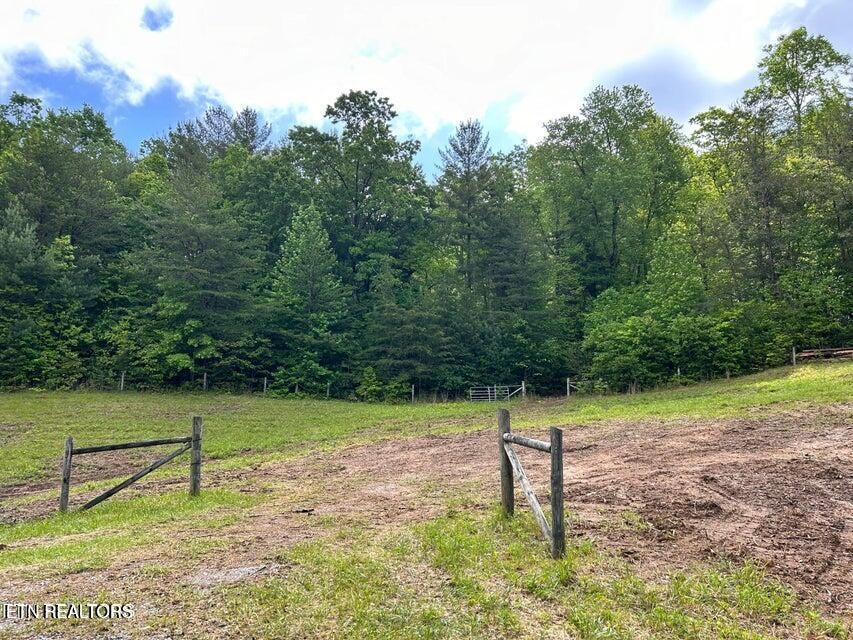 188 Dalton Branch Road Tellico Plains, TN 37385 - Photo 15 of 42