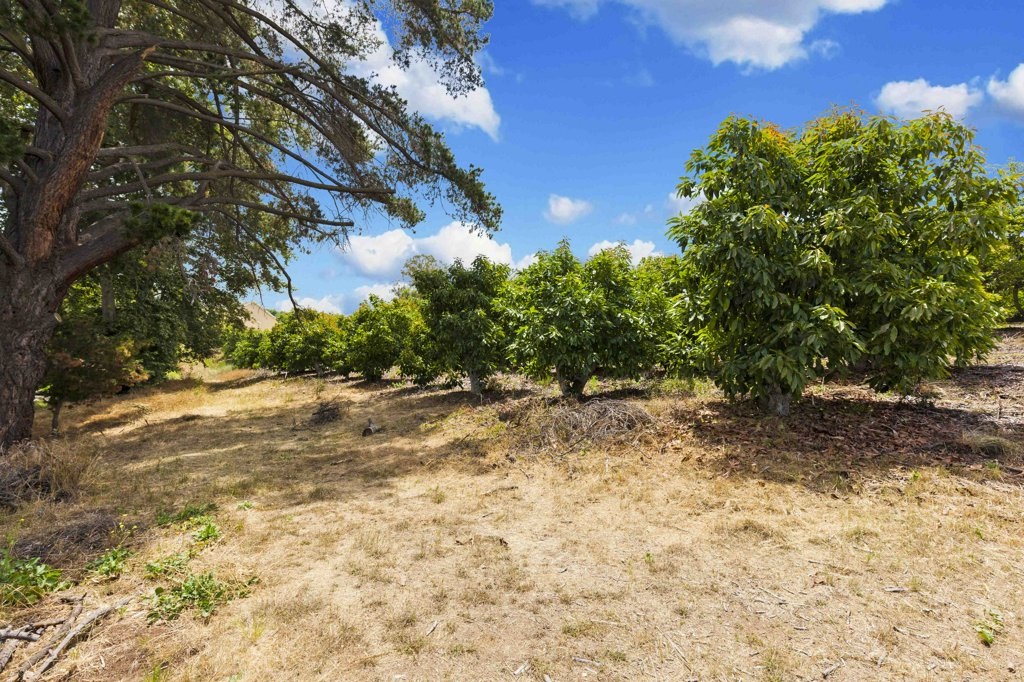 11425 Sierra Rojo Road Valley Center, CA 92082 - Photo 24 of 25 Gallery Image 24