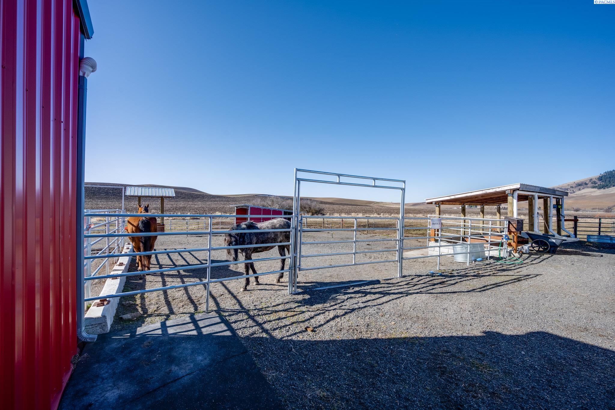 351 L West Road Palouse, WA 99161 - Photo 42 of 50 Gallery Image 42