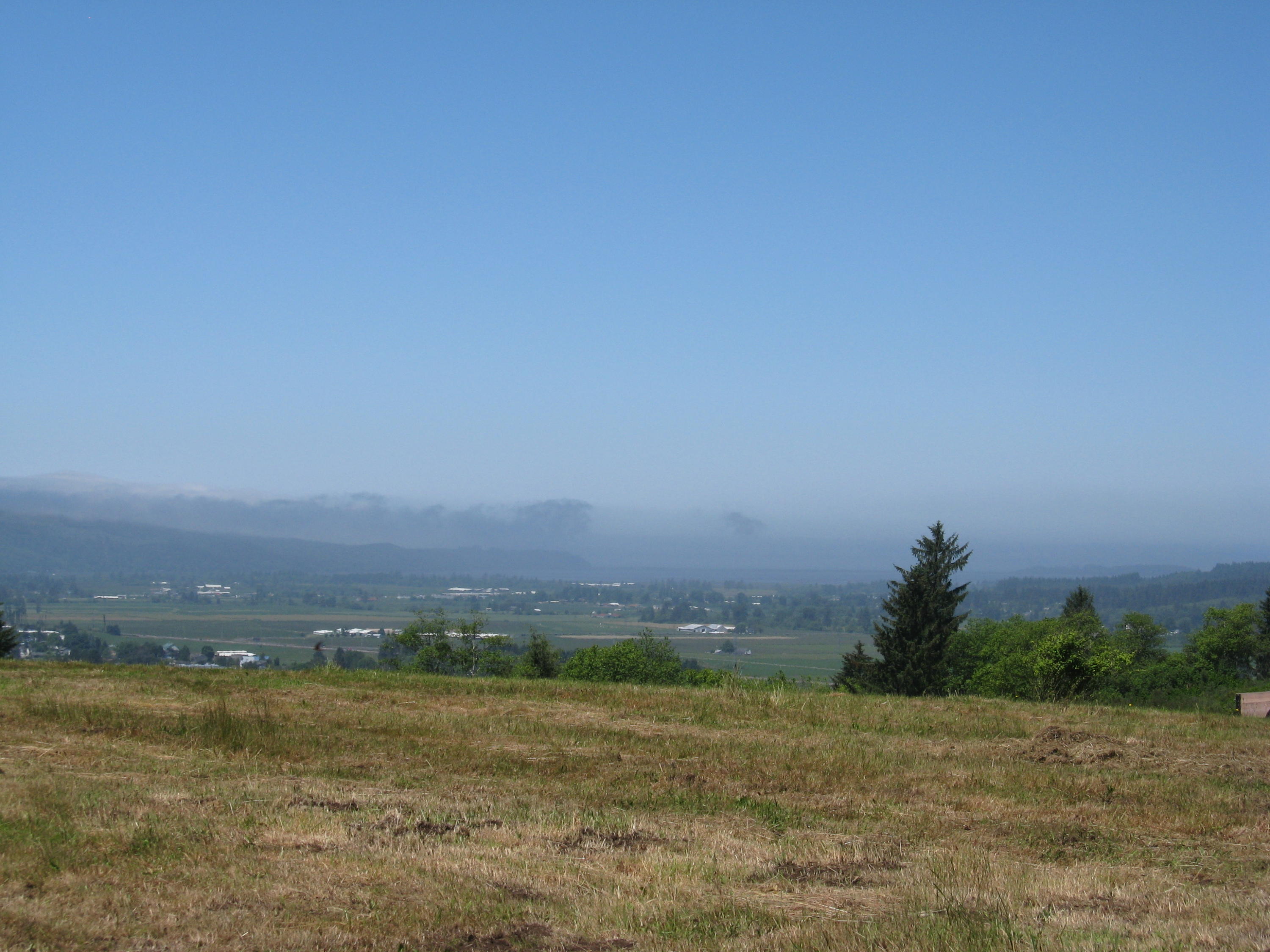 Lot Skyview Lot Skyview Road Tillamook, OR 97141 - Photo 17 of 20 017
