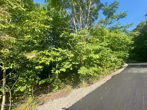 $19,900 | 617 North North Pointe Trail, Allons, TN 38541