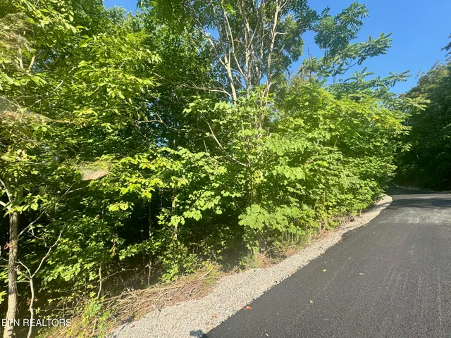 $19,900 | 617 North North Pointe Trail, Allons, TN 38541