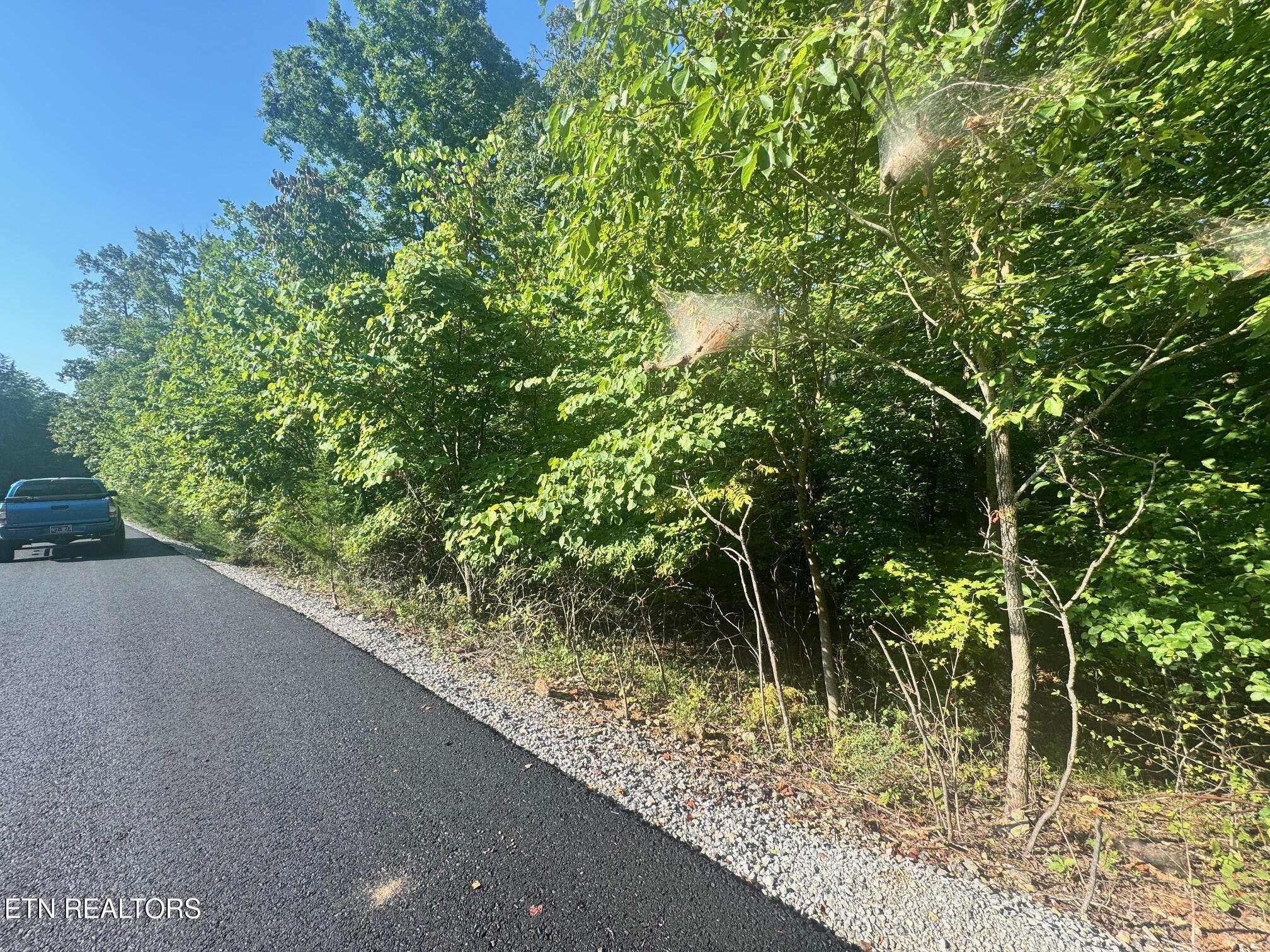 617 North North Pointe Trail Allons, TN 38541 - Photo 3 of 6 IMG_0463