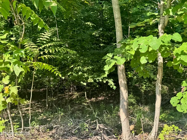 $19,900 | 617 North North Pointe Trail, Allons, TN 38541