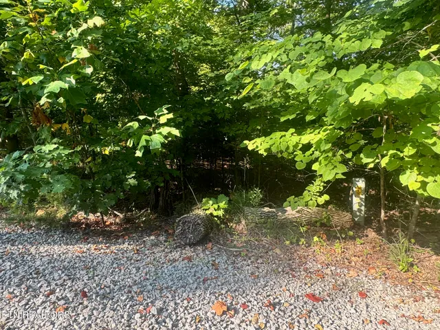 $19,900 | 617 North North Pointe Trail, Allons, TN 38541