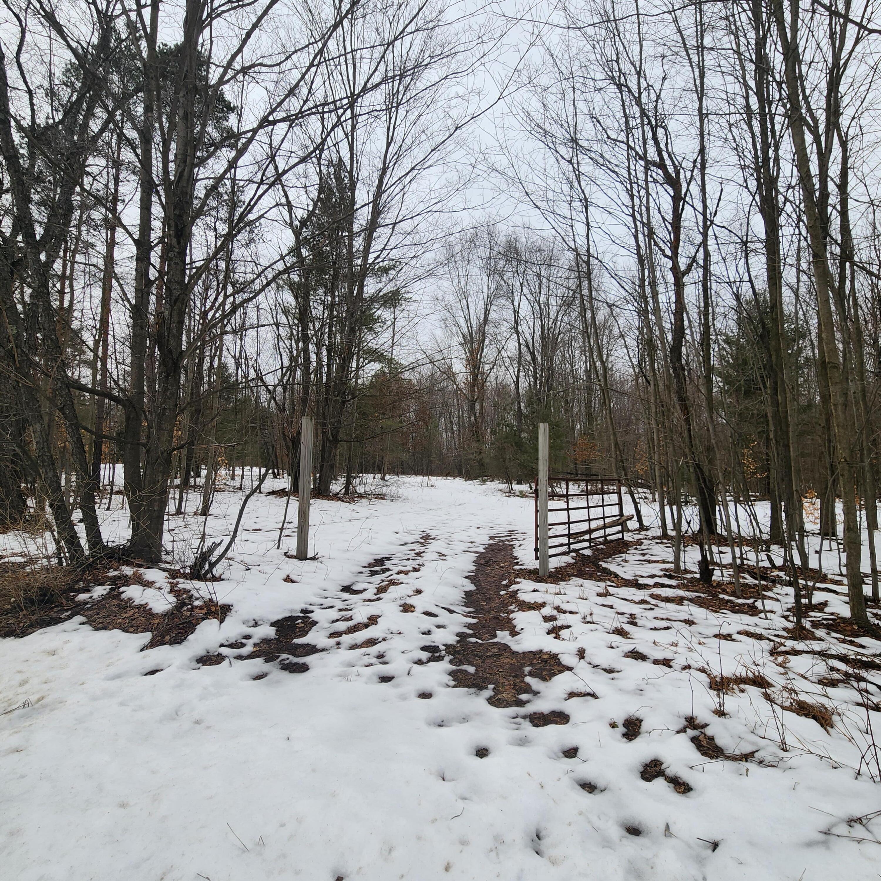 7 East 7 Mile Road Tustin, MI 49688 - Photo 3 of 10 7 Mile 17