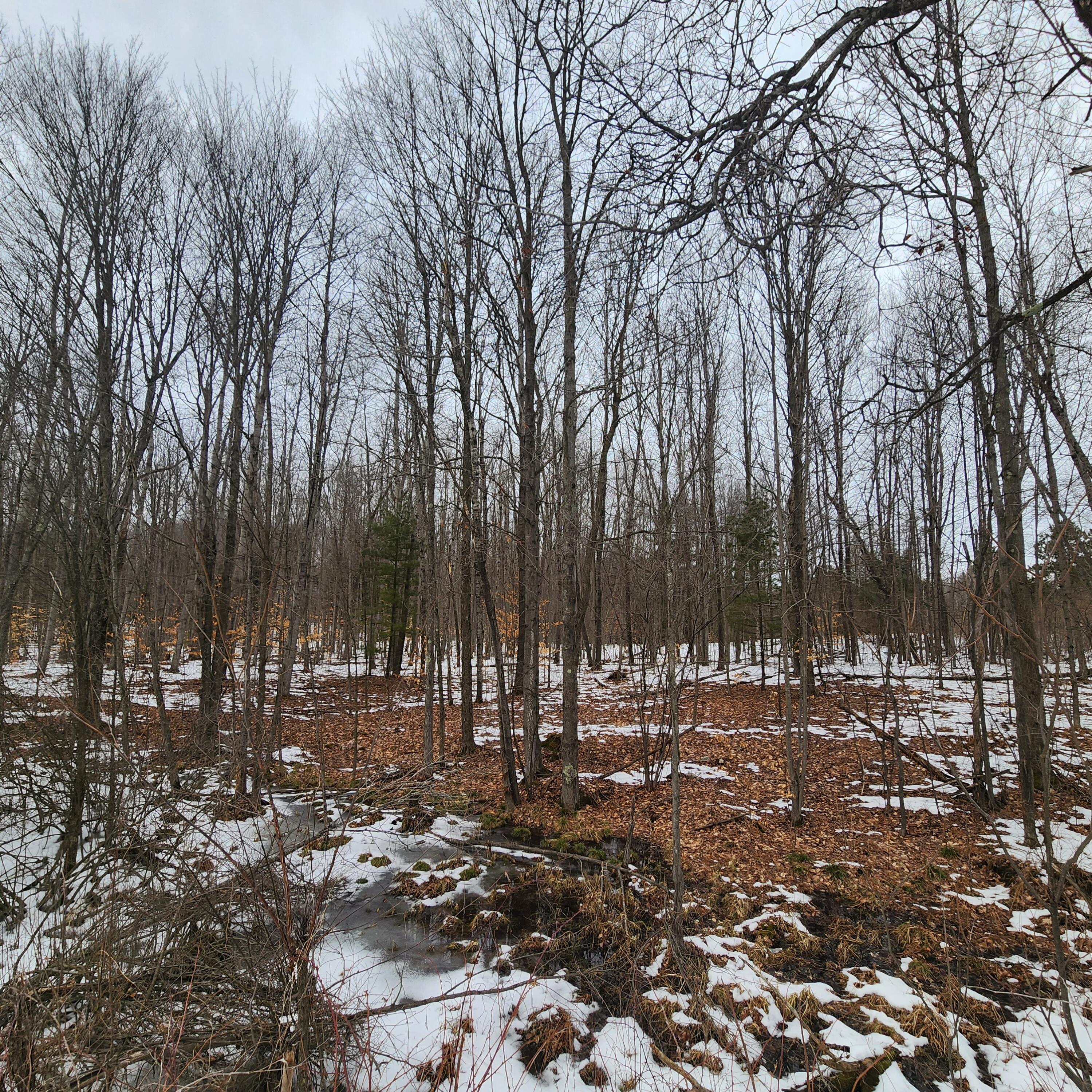 7 East 7 Mile Road Tustin, MI 49688 - Photo 9 of 10 7 Mile 15