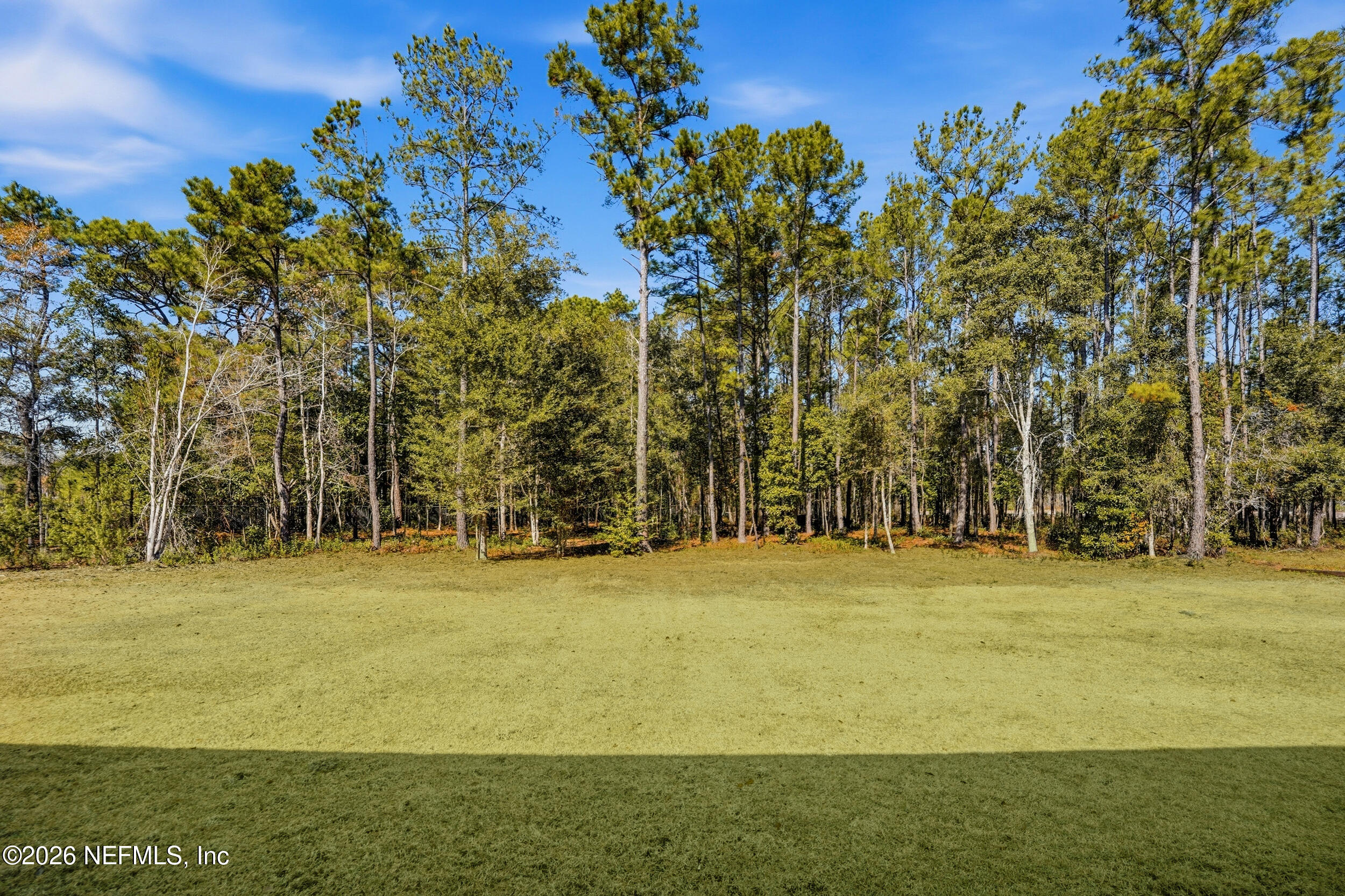 3901 Foxfield Lane Jacksonville, FL 32226 - Photo 34 of 49 Expansive Yard