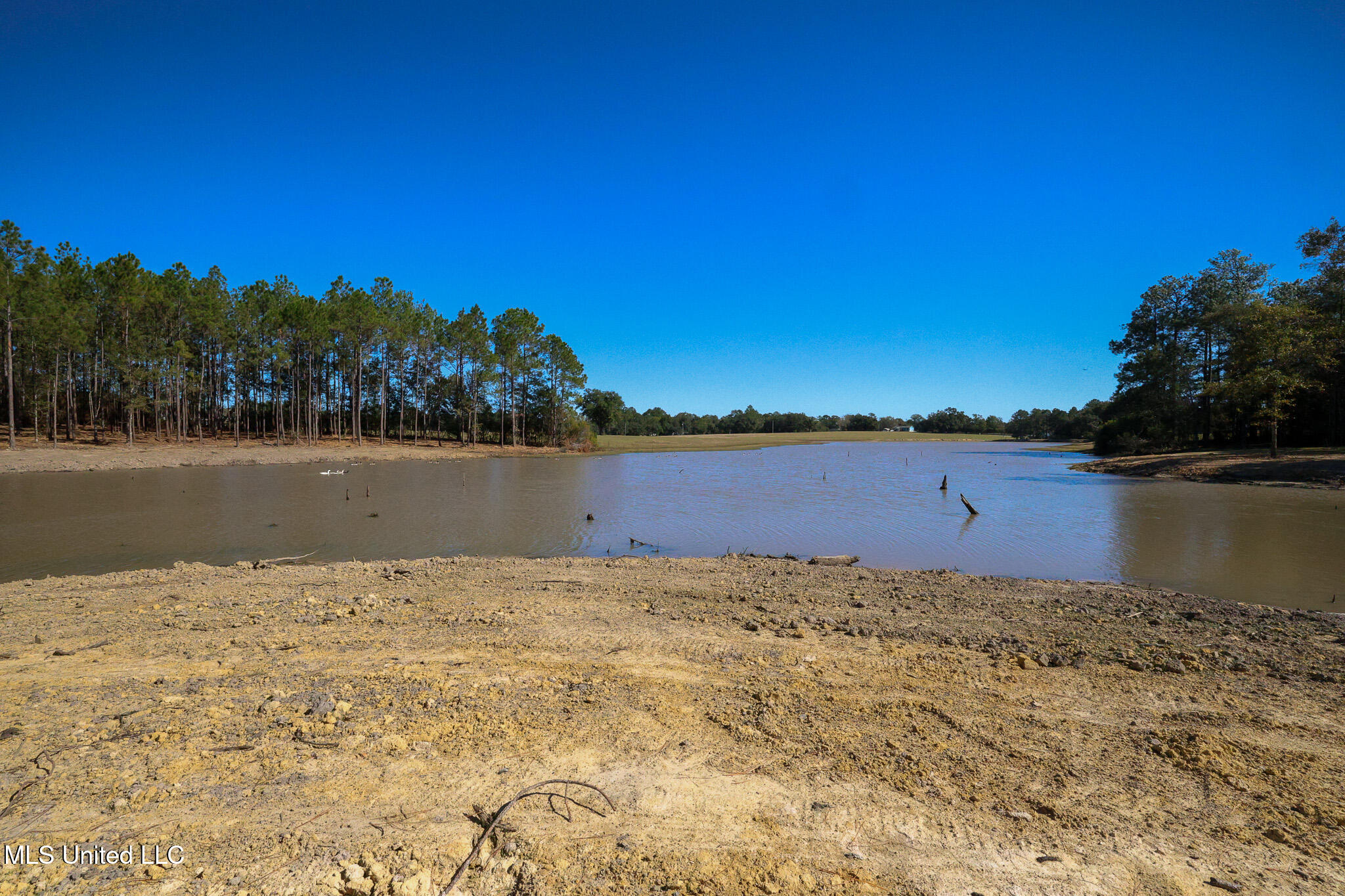 0 Disalvo Lane Kiln, MS 39556 - Photo 3 of 22 PP1A0851