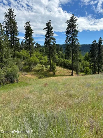 $110,500 | Nka Sunnyside Bench Road, Lenore, ID 83541