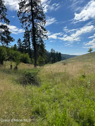 $110,500 | Nka Sunnyside Bench Road, Lenore, ID 83541