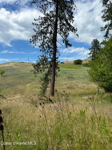 $110,500 | Nka Sunnyside Bench Road, Lenore, ID 83541