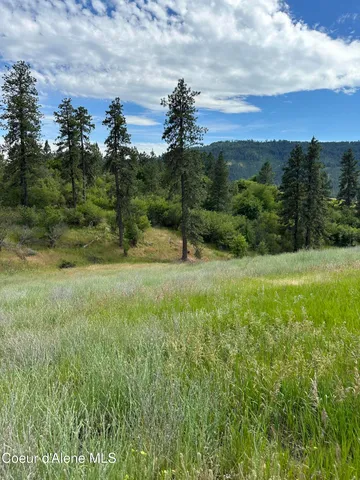 $110,500 | Nka Sunnyside Bench Road, Lenore, ID 83541