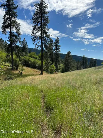 $110,500 | Nka Sunnyside Bench Road, Lenore, ID 83541