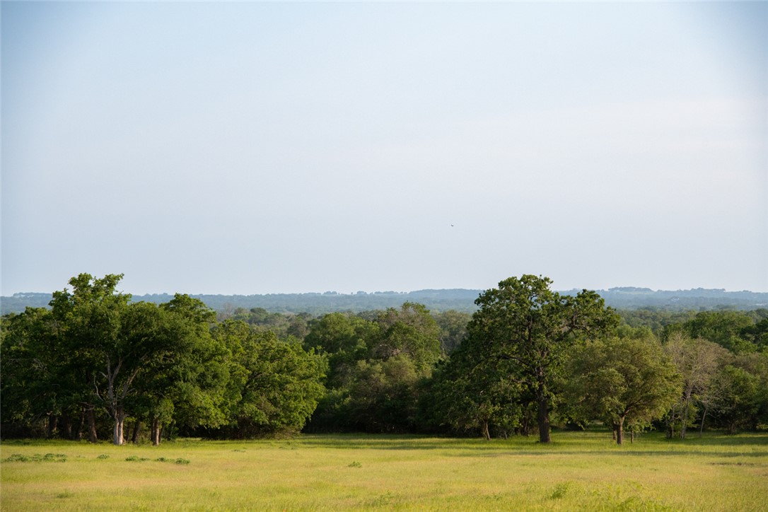 4046 Fm 1361 Somerville, TX 77879 - Photo 18 of 18 a view of a swimming pool with an outdoor seating and a mountain view