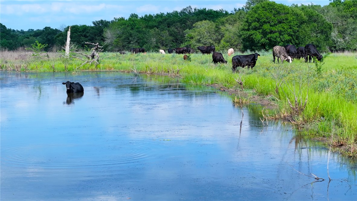 4046 Fm 1361 Somerville, TX 77879 - Photo 3 of 18 a view of a water pond with green yard