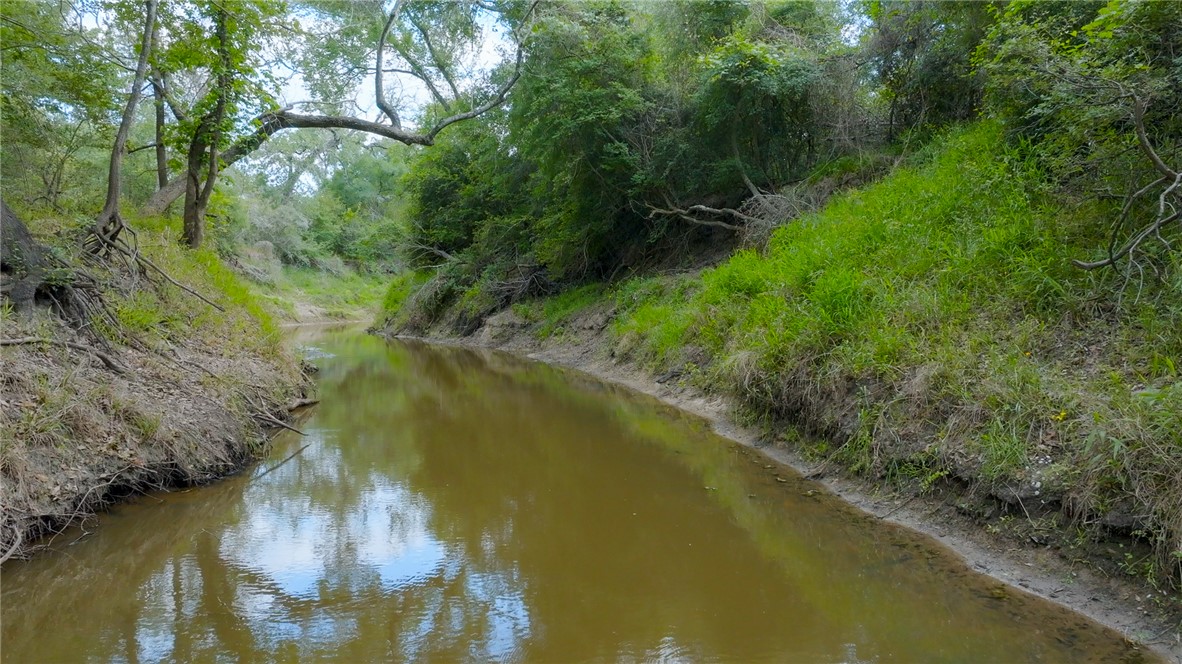 4046 Fm 1361 Somerville, TX 77879 - Photo 4 of 18 a view of a lake from a yard