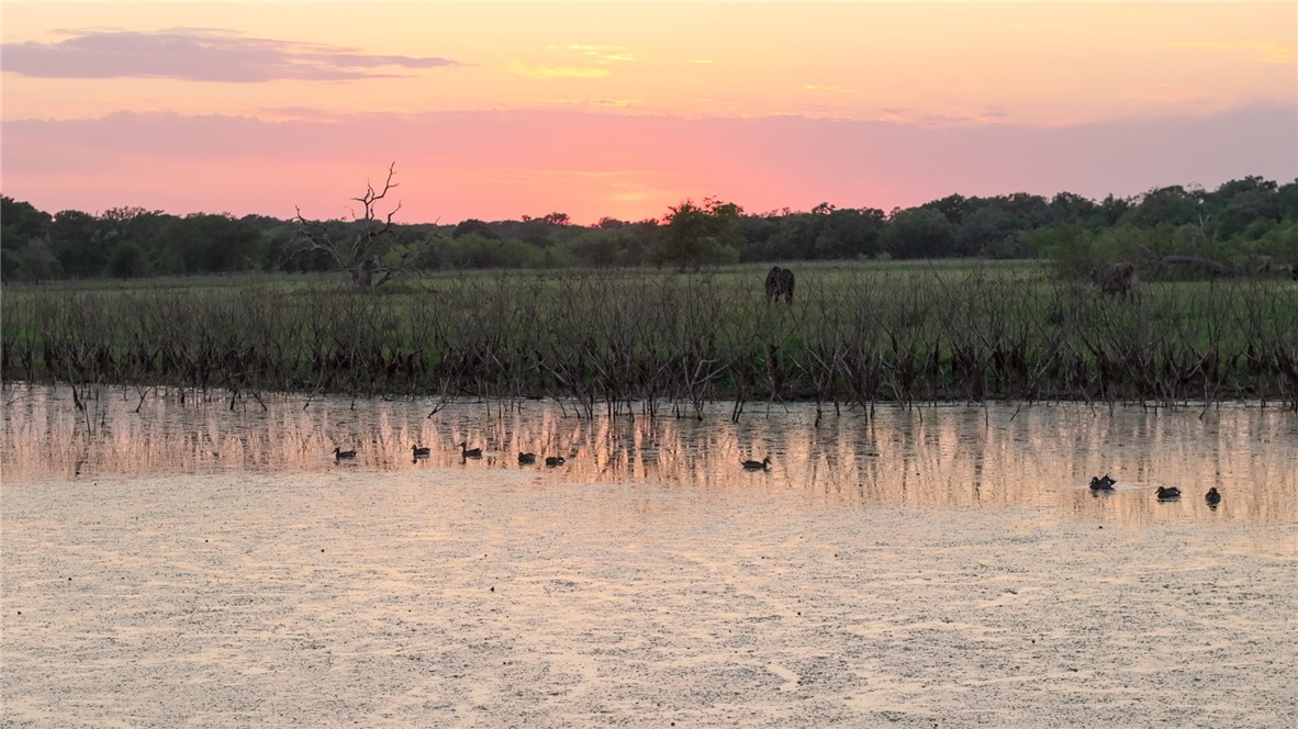 4046 Fm 1361 Somerville, TX 77879 - Photo 7 of 18 a view of a backyard with large tree