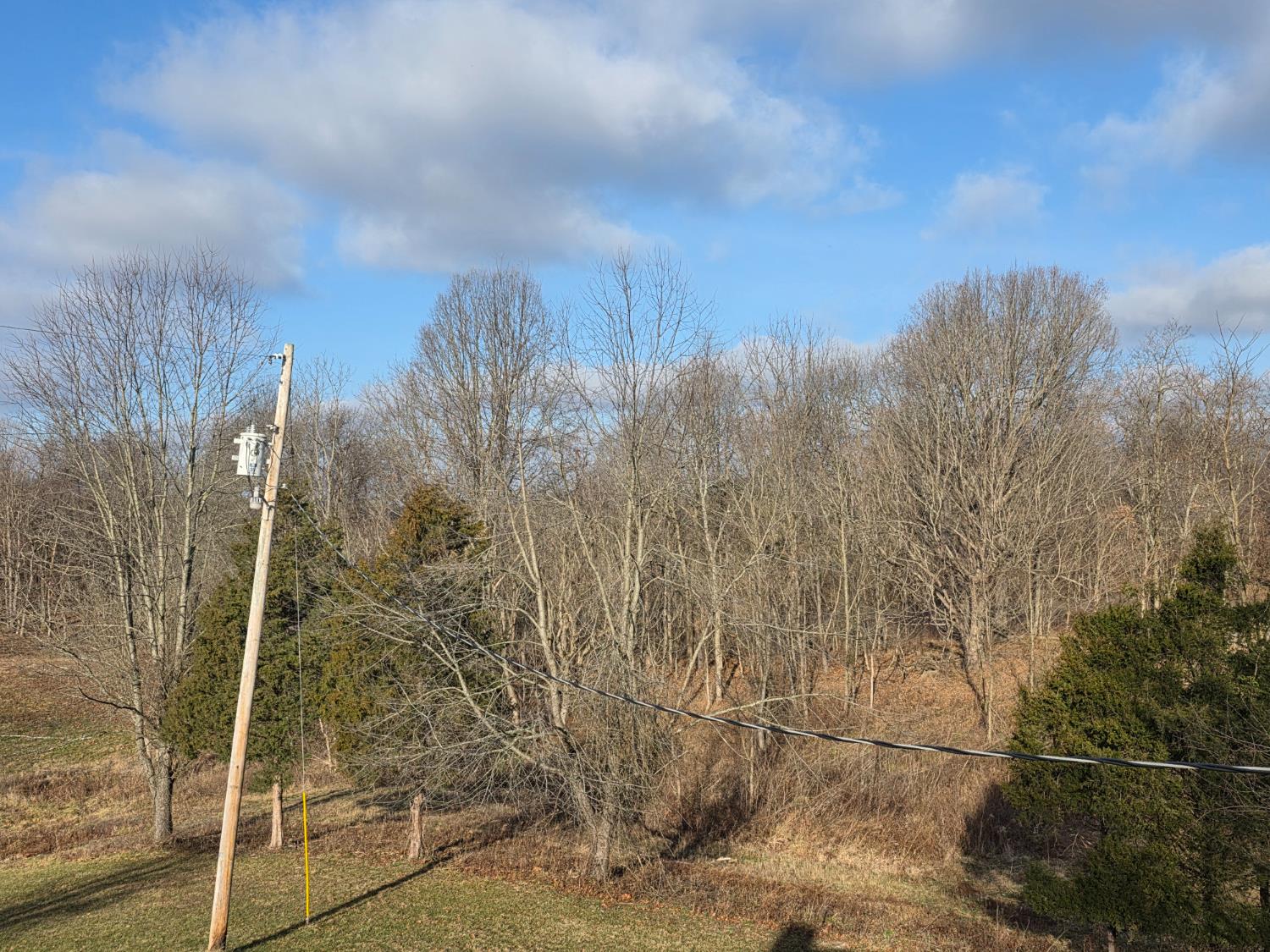 8973 North Sr 56 Vevay, IN 47043 - Photo 53 of 55