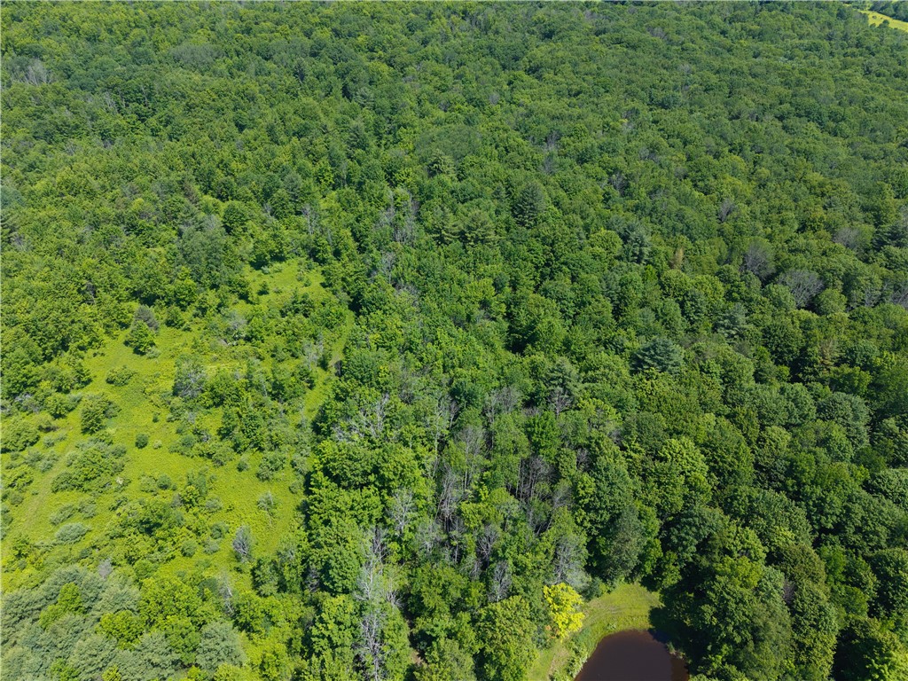 0 Schneider Road Fillmore, NY 14735 - Photo 47 of 50