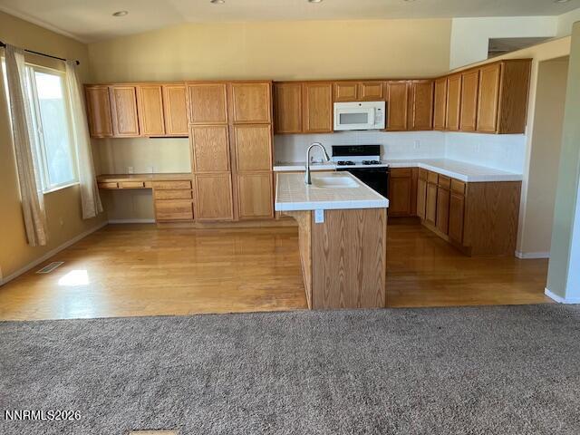 4447 White Fish Drive Reno, NV 89511 - Photo 12 of 33 IMG_1708