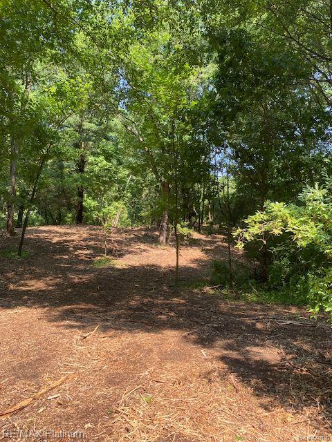 7 Sleaford-parcel 7 - 2 Acres Road Howell, MI 48843 - Photo 17 of 45